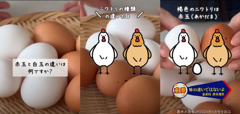 農水省職員の卵の茹で方