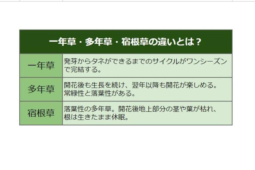 一年草・多年草・宿根草の違いが書かれた一覧表