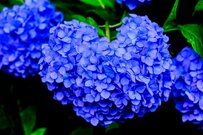 【年金】6月支給分から何％増える？【老齢年金一覧表】厚生年金・国民年金「60歳代・70歳代・80歳代・90歳以上」みんなの平均月額はいくら？