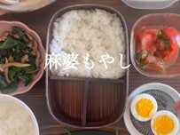 野菜がたっぷり摂れる”麻婆もやし弁当”が話題「体に優しいお弁当」「見習わなくちゃ」の声も