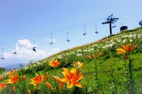 【全国旅行支援】2023年6月13日更新！6月以降の予約を開始する旅行予約サイトまとめ