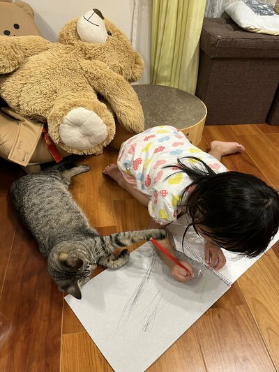 長女と仲良しな元保護猫