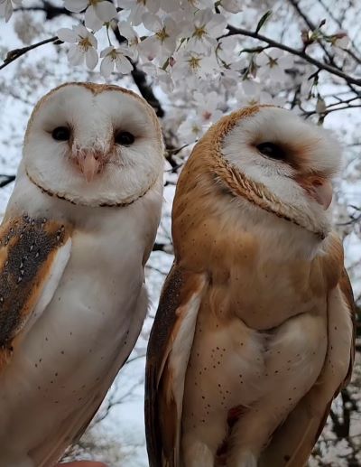 投稿動画のワンシーン