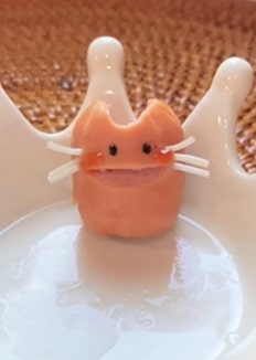 投稿動画のワンシーン