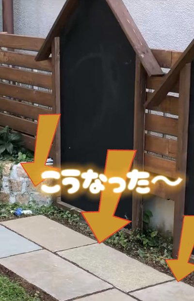 投稿動画のワンシーン