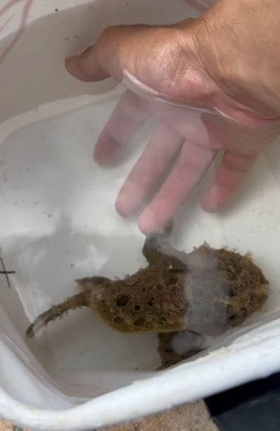 伸ばした手に握手してくれた