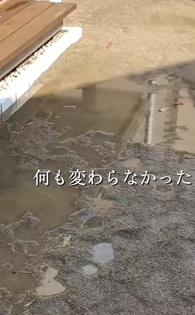 投稿動画のワンシーン