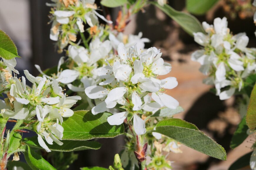 Traveller70/shutterstock.com