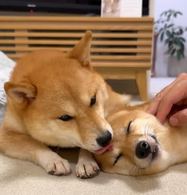 出所：hanachan_1111