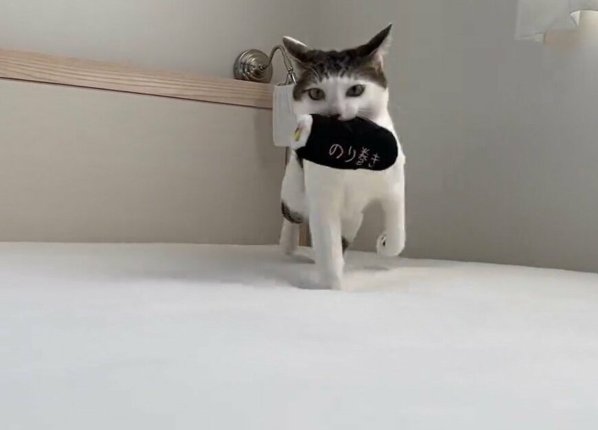 出所：@Saeroyi_cat