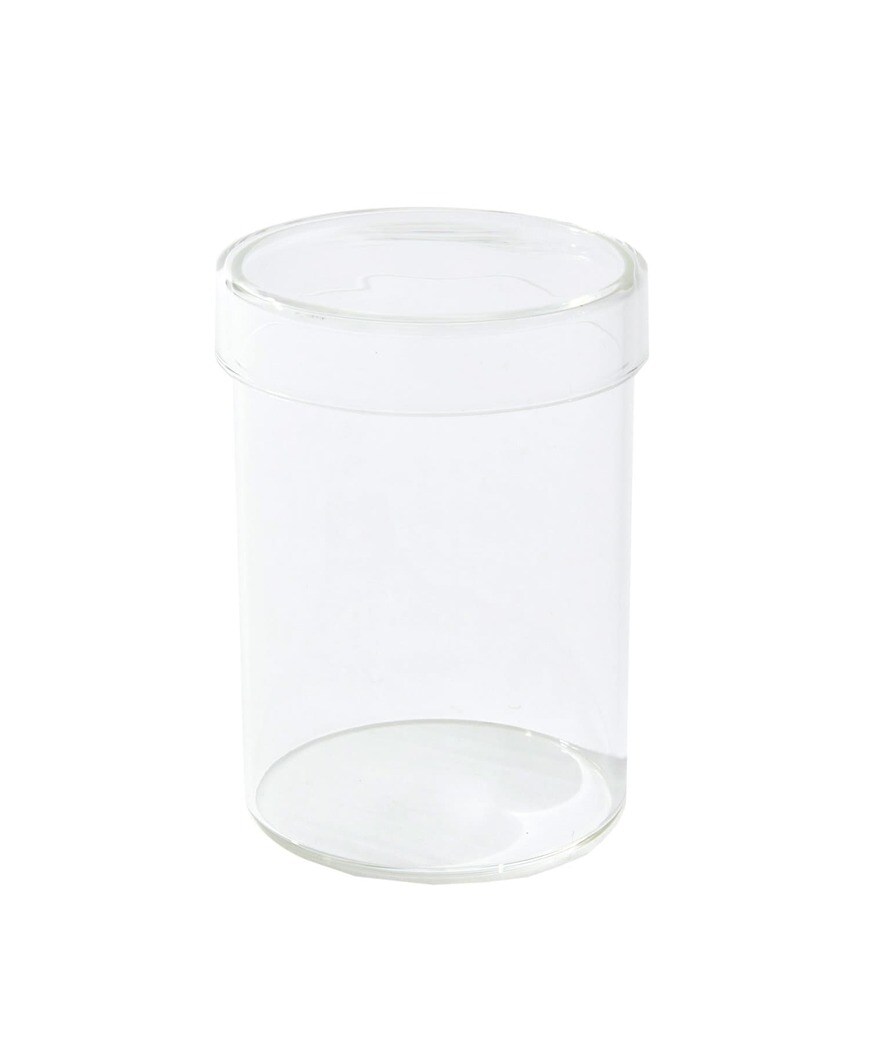 画像出所：すべて「3COINS公式」