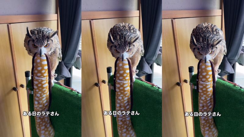 出所：@ba_chantolatte