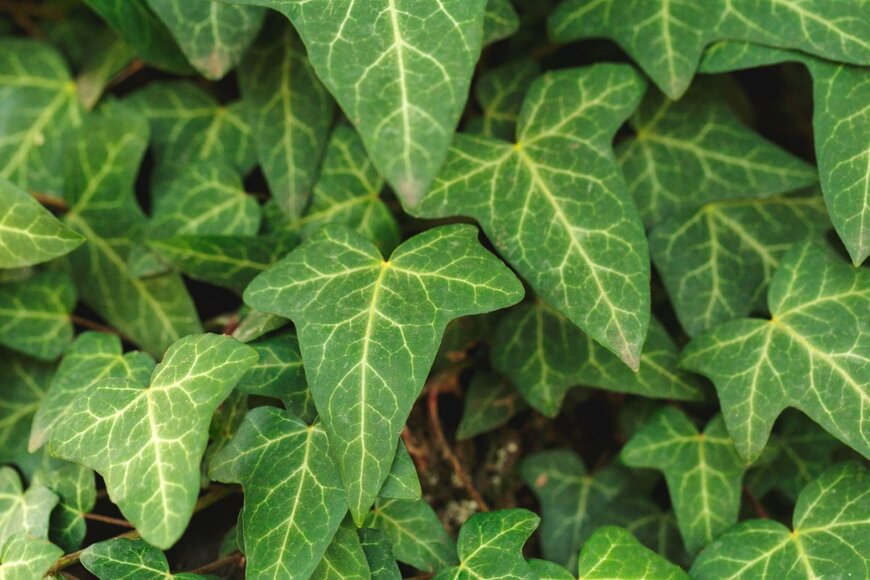 FabrikaSimf/shutterstock.com