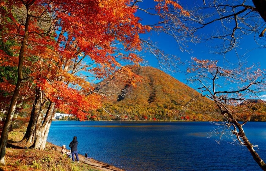 群馬県の榛名湖で撮影された「風景写真」に強烈な違和感　「水面に浮かんでいる物体」に思わず目を疑う