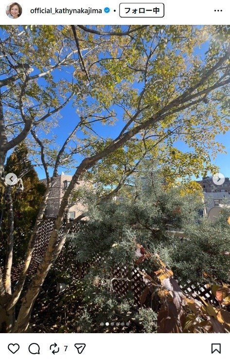 出所：キャシー中島のInstagram（＠official_kathynakajima） 参照日：2026年1月8日