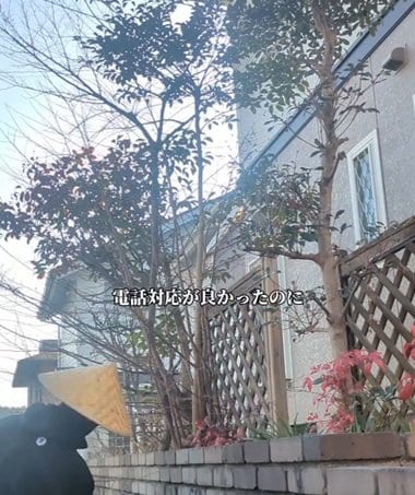 「いつも綺麗なお仕事されてて気持ち良いですね」生い茂る〈庭木〉→視界スッキリの〈明るいお庭〉に！