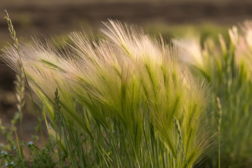 Iuliia Iunzhakova/istockphoto.com