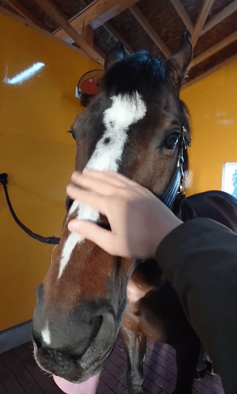 出所：Yogiboヴェルサイユリゾートファーム