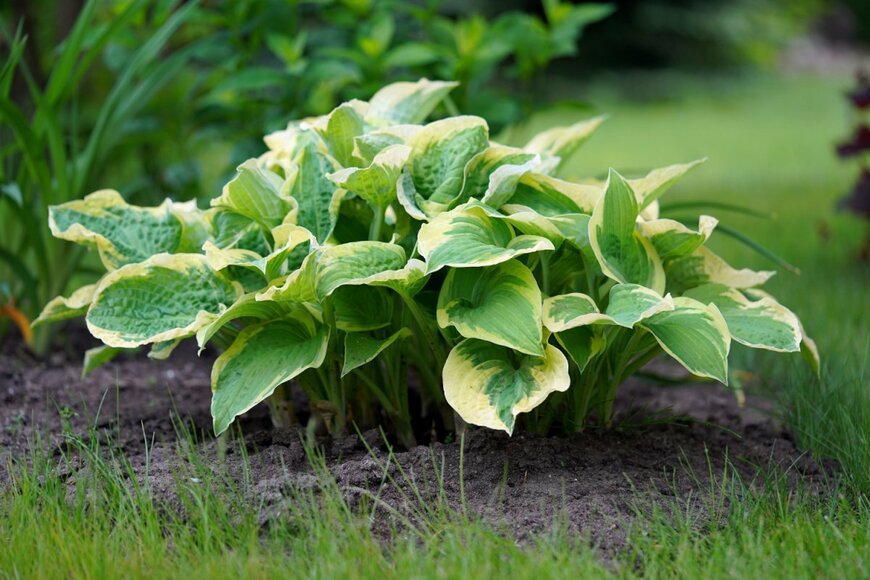 demm28/shutterstock.com