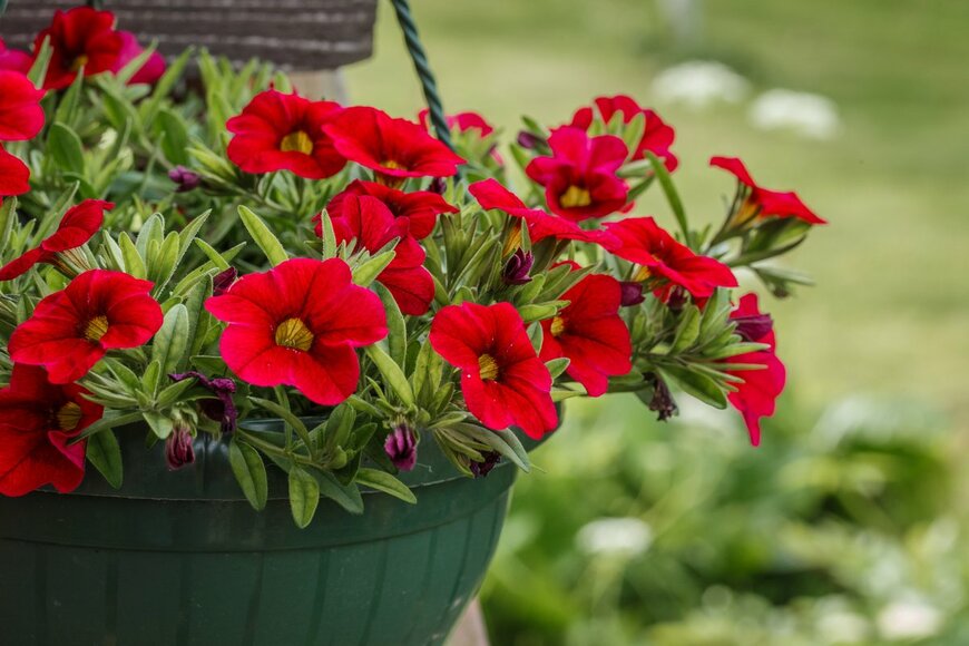 tvetchinina/Shutterstock.com