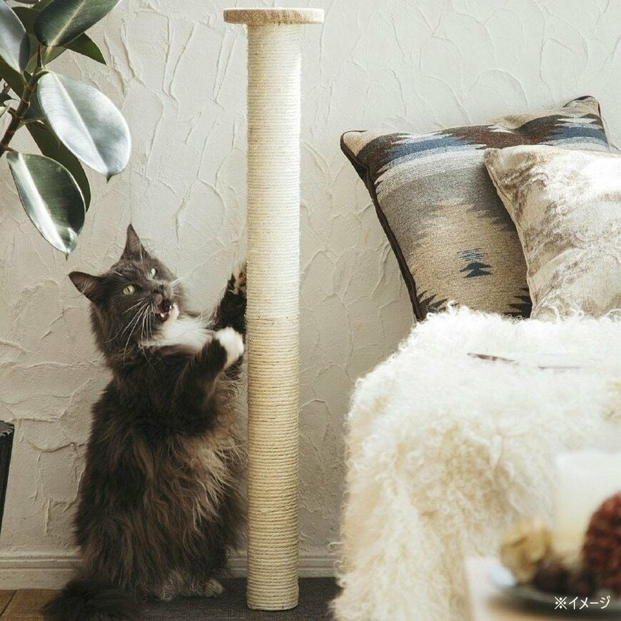 画像出所：カインズ公式オンラインストア