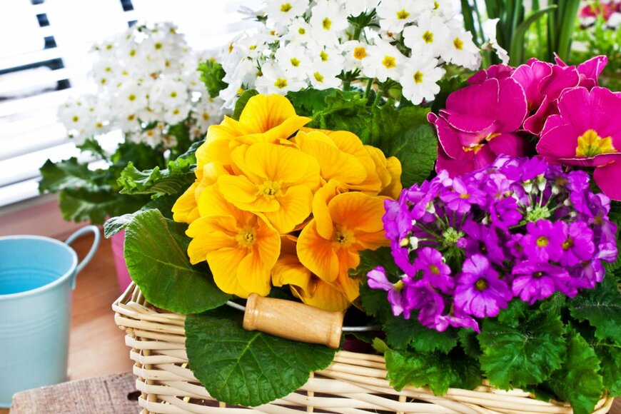 PhotoSGH/shutterstock.com