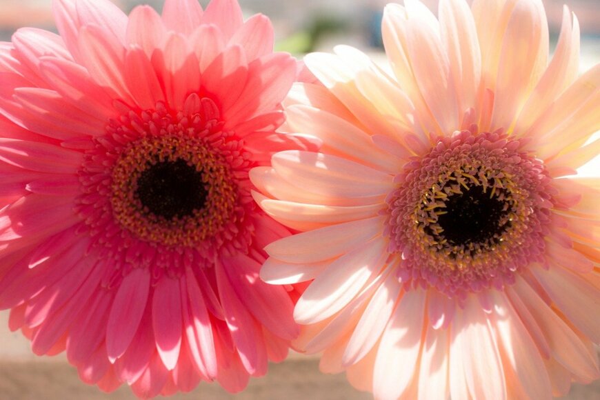 Ekaterina Chuyko/istockphoto.com