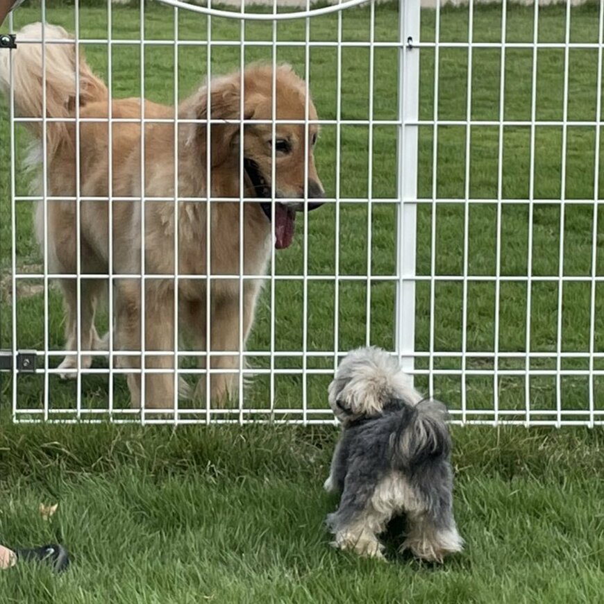 出所：@potage_0924