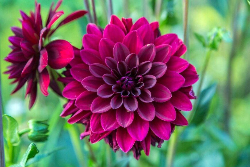 Olga Seifutdinova/istockphoto.com