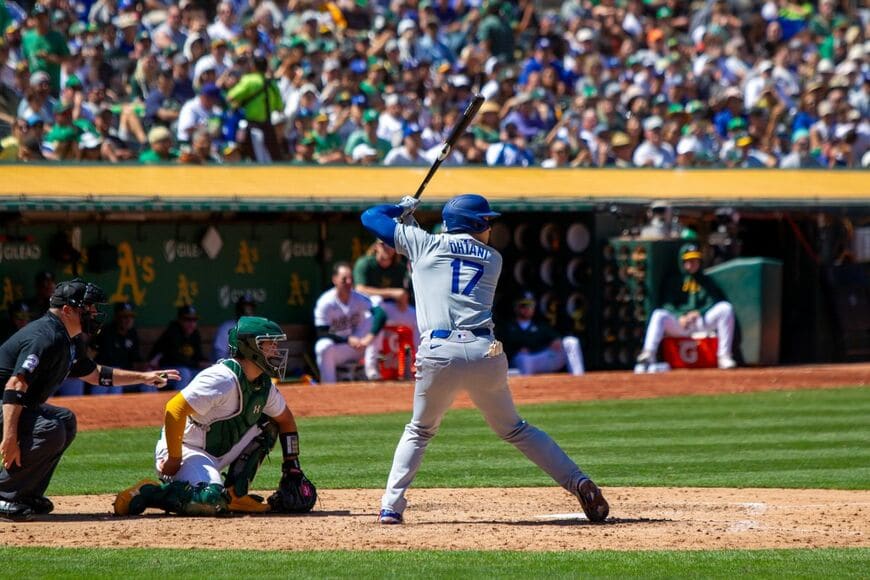 Conor P. Fitzgerald/shutterstock.com