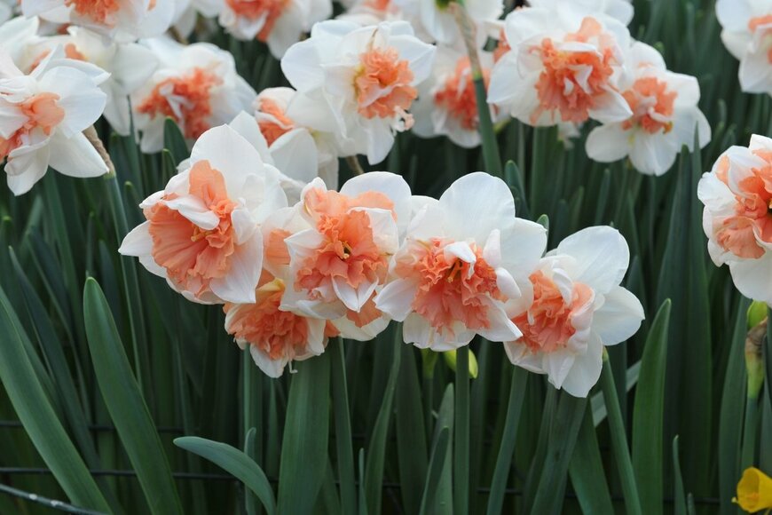 Sergey V Kalyakin/shutterstock.com