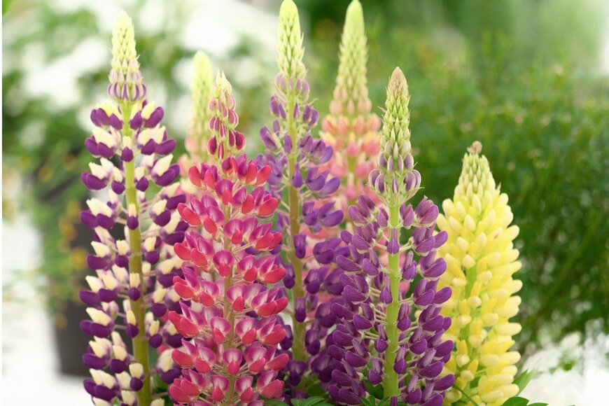 y-studio/istockphoto.com