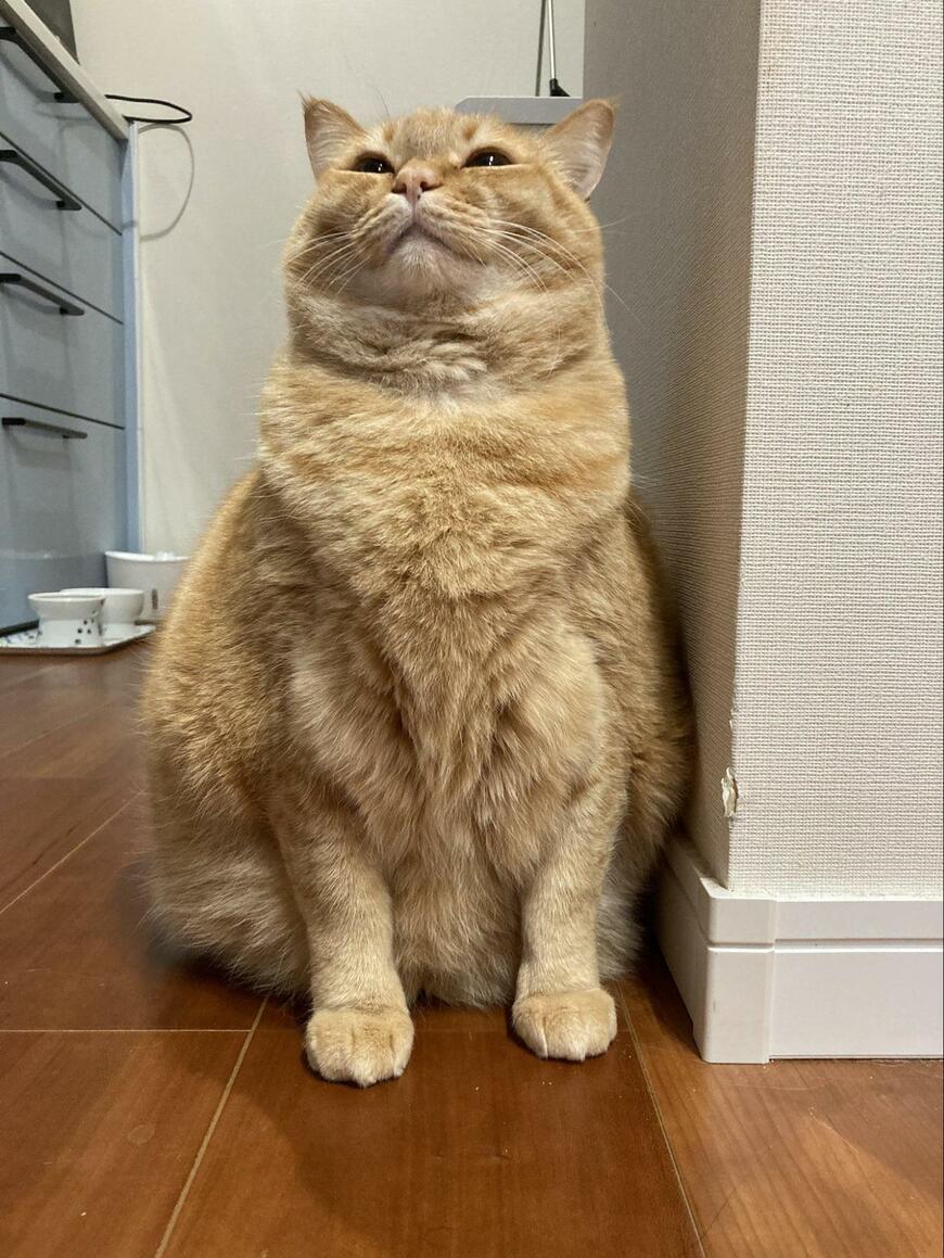 出所：@kagisuzu0531