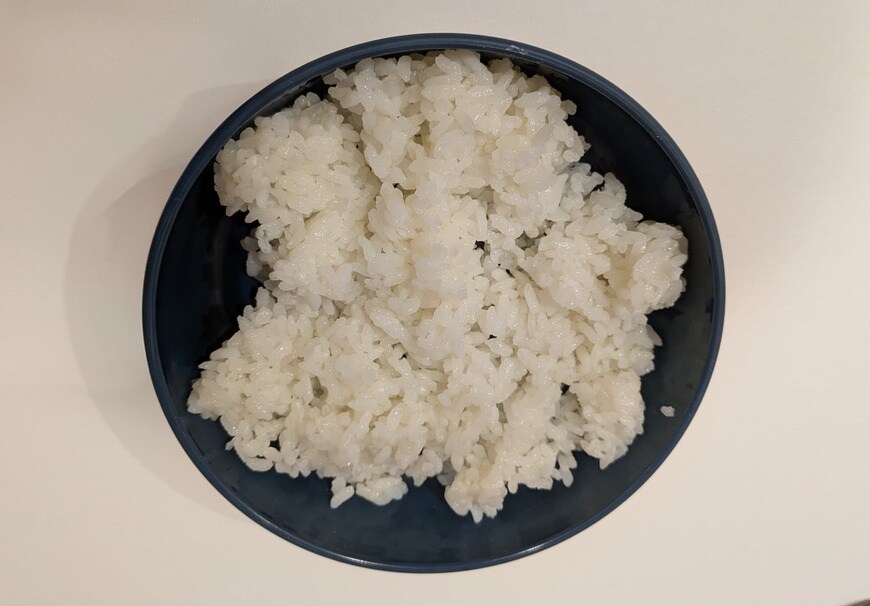 「試しにご飯を入れてみました」