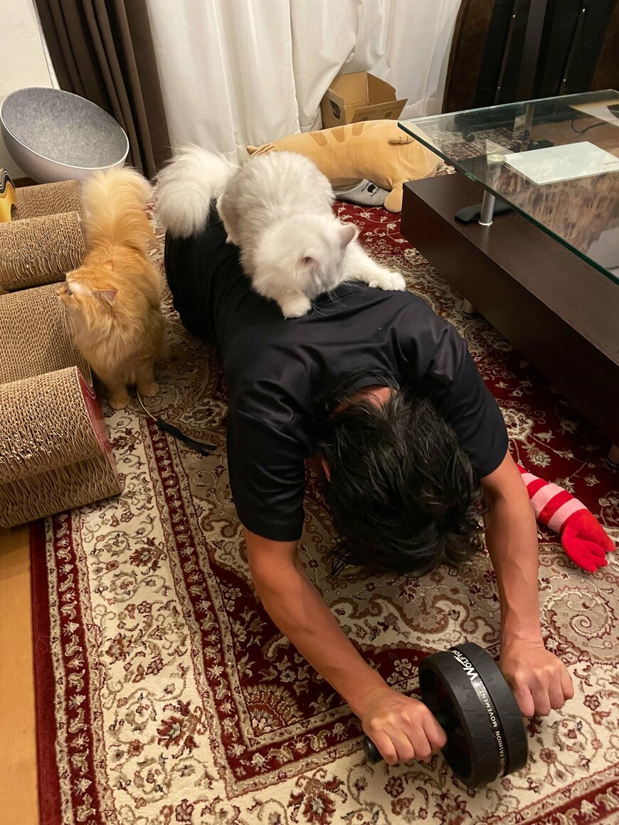 出所：@NEKOLAND13