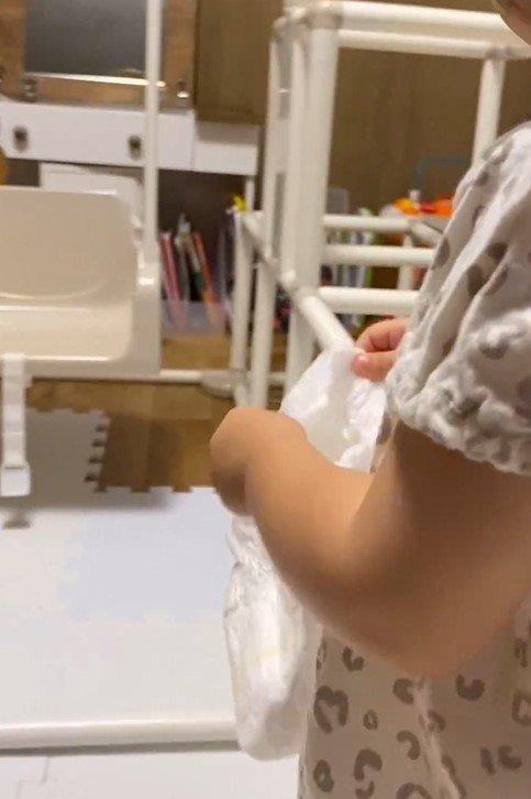 娘さんと猫