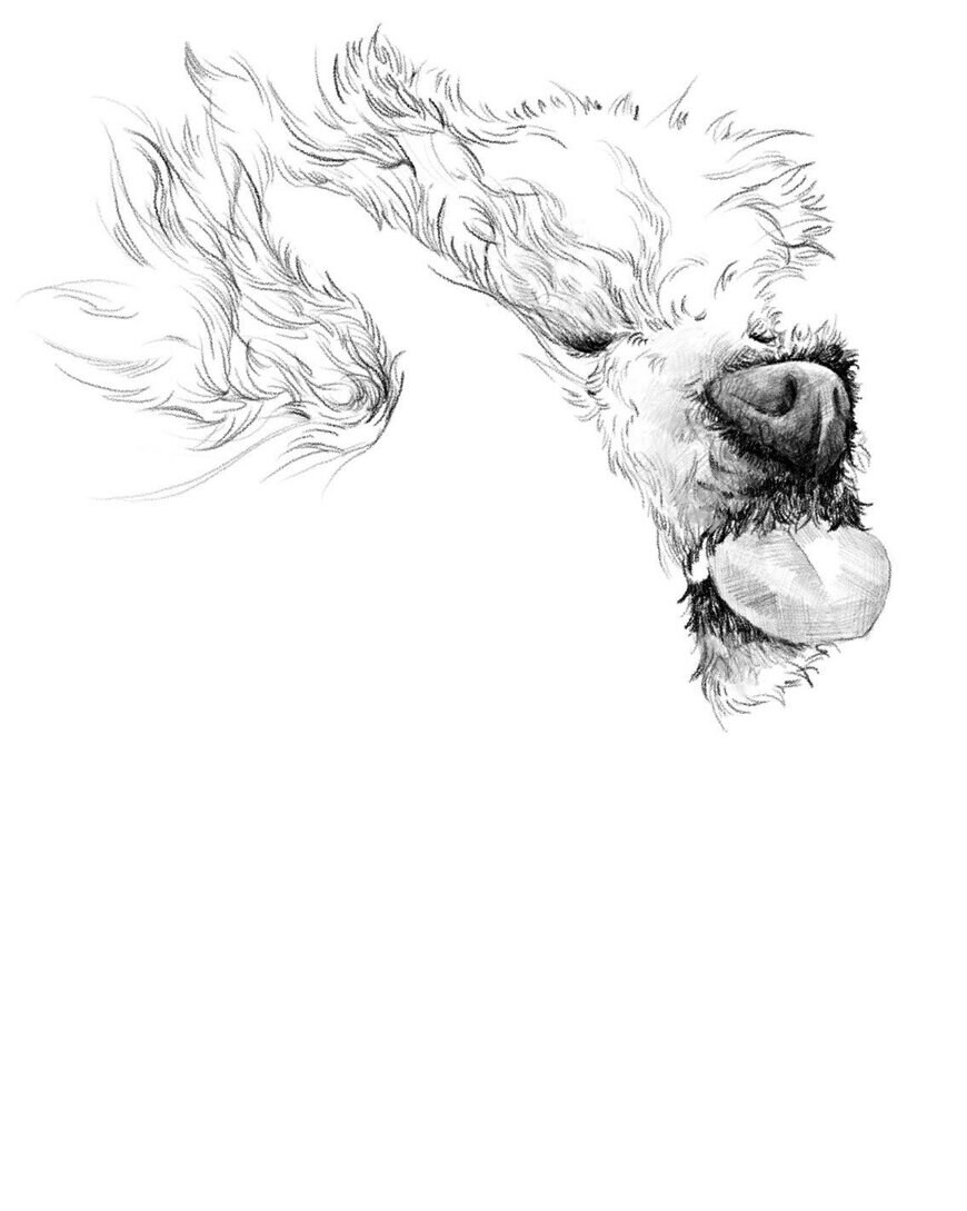 撫でられている犬の絵