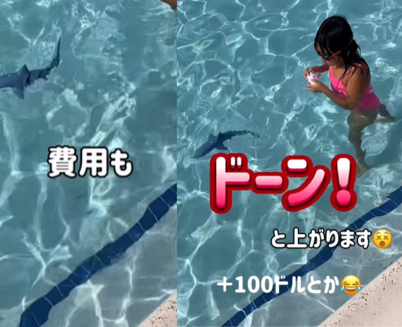 投稿動画のワンシーン