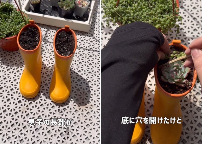 投稿の画像