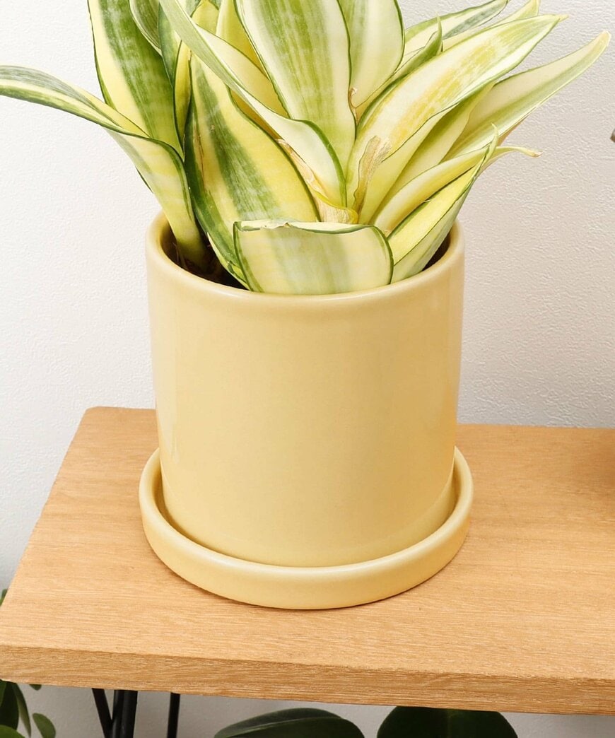 パルグループ公式ファッション通販サイト