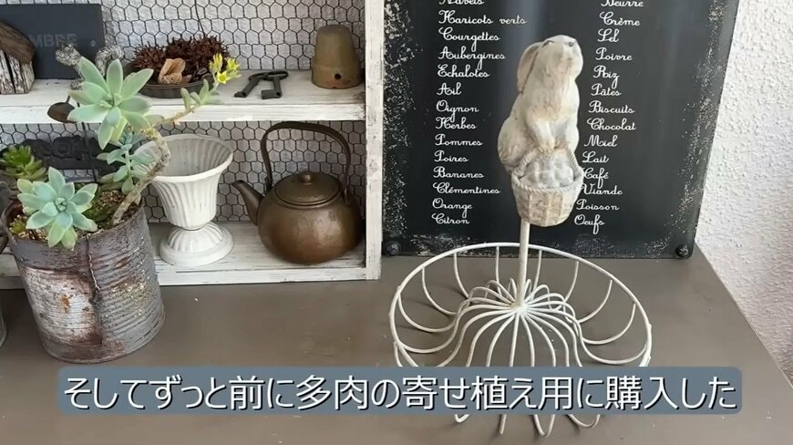 多肉植物の寄せ植え用に購入したワイヤーかごとアイビー