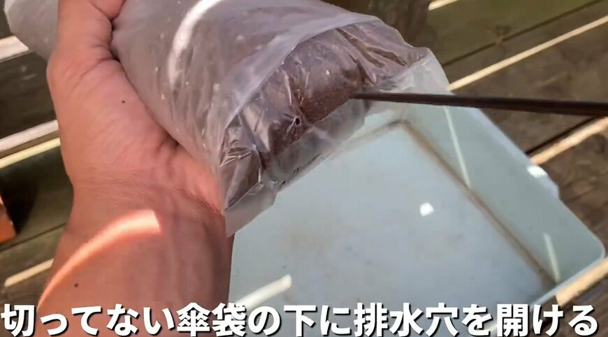 長ネギの栽培方法