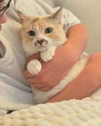 優しいお兄ちゃんに可愛がられる猫　しかしその顔を見ると…まさかの光景に爆笑の声