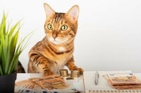 定年60代、厚生年金・国民年金の平均受給額の格差はどれぐらいか。収入や「働く意思」の実態を探る