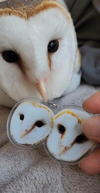【温めるフクロウ】アクリルキーホルダーはお腹の下へゴソゴソ……大切なものを温めるフクロウさんに注目集まる