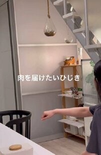【配達するフクロウ】飼い主さんにお肉を届ける姿がかわいくて癒される！