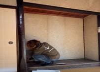 【築160年DIY】明治元年に建てられた古民家の土壁→2児のパパのアイディアで大変身！「この発想はなかった」