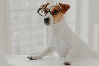 【年齢別・一覧表】厚生年金＆国民年金「60歳～90歳以上」平均月額を1歳刻みで見る