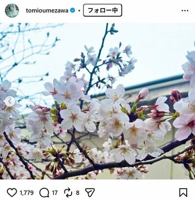 梅沢富美男のInstagram 投稿