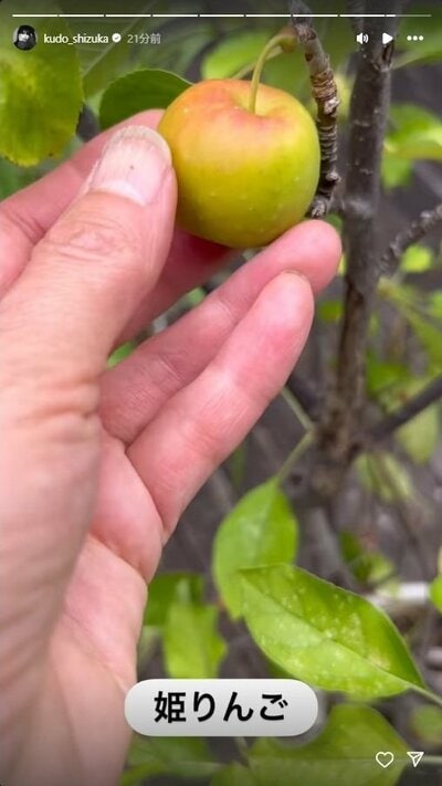 工藤静香のInstagram投稿